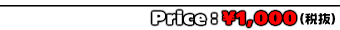 Price：￥1,000（税抜）